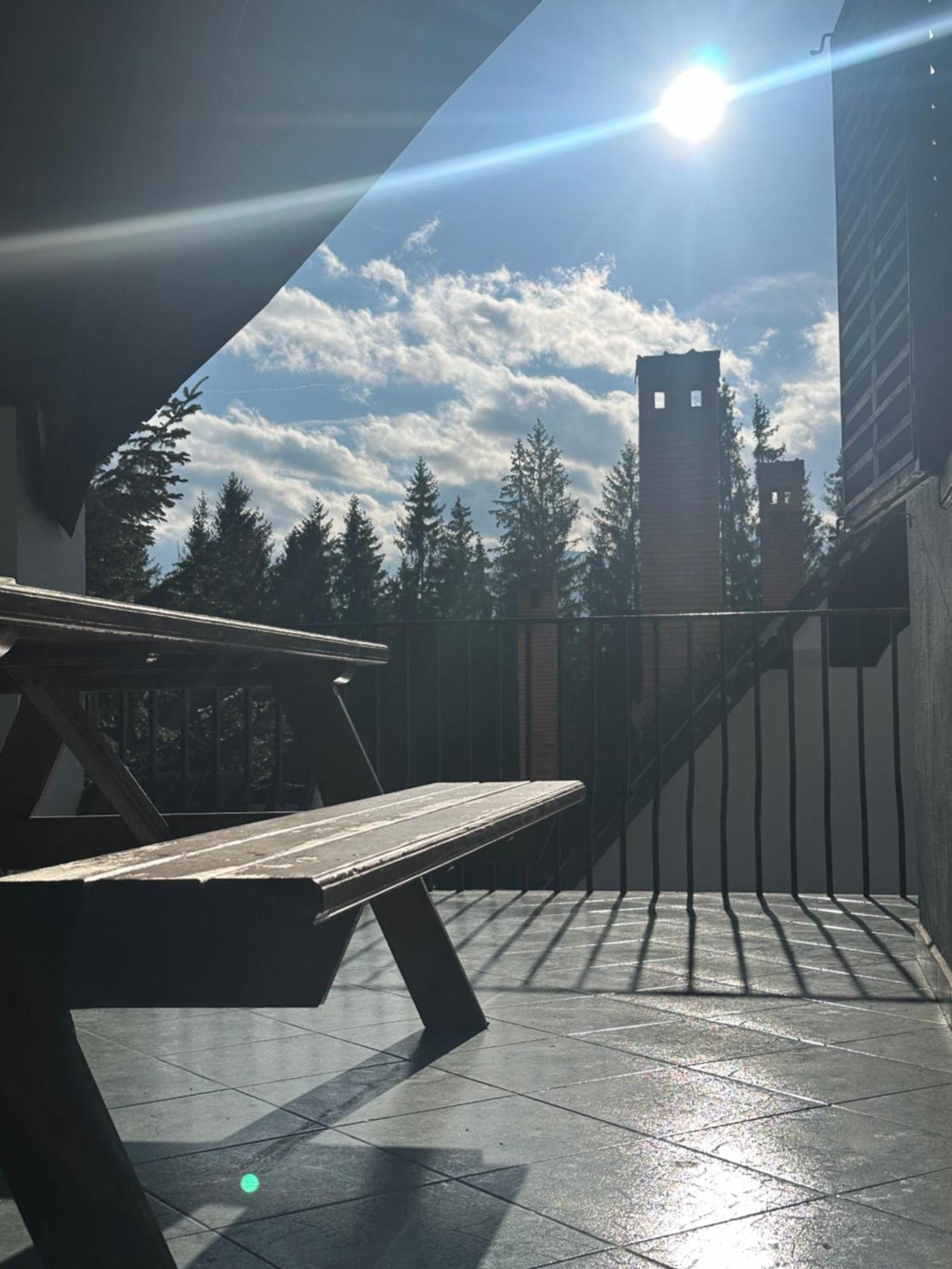 פרדיאל Pine Peak Apartments מראה חיצוני תמונה